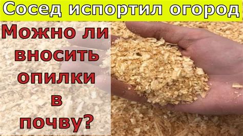 Опилками сосед испортил огород. Можно ли вносить опилки в почву? - YouTube