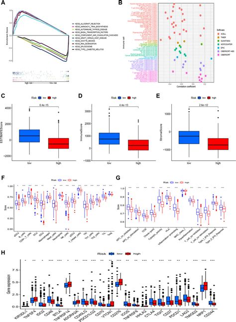 Frontiers A Novel Necroptosis Related LncRNA Signature Predicts The