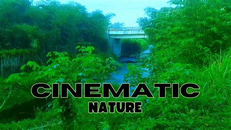 CINEMATIC ALAM PAGI KEINDAHAN ALAM SEKITAR KITA CINEMATIC VIDEO