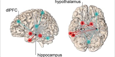 Dorsolateral Prefrontal Cortex