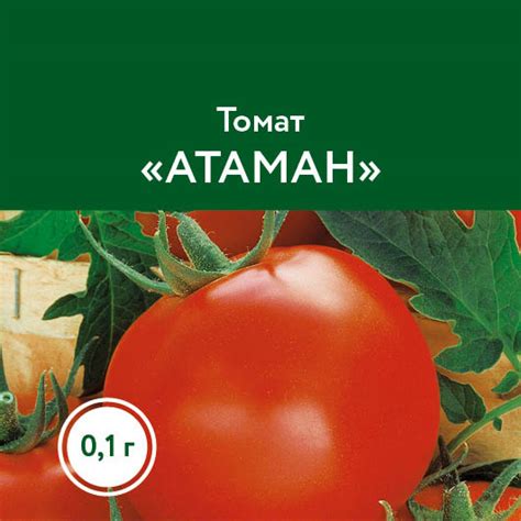 Томаты – Овощи – Семена – купить саженцы оптом и в розницу – питомник ...
