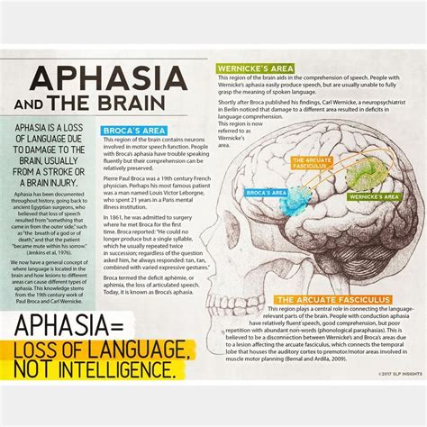 Aphasia Handout For Patients