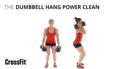 Muscles Worked By Dumbbell Clean