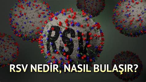 Rsv Parainfluenza Nedir Nas L Bula R Rsv Vir S Belirtileri