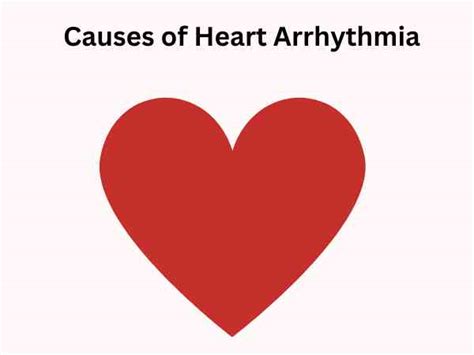 Heart Arrhythmia Causes Symptoms And Treatment Options Tv Health