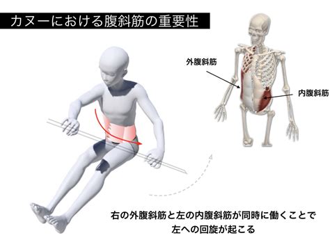 体幹を使うということ Movement Design