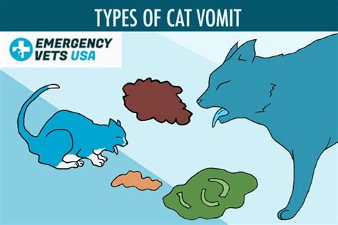 Types Of Cat Vomit And What They Mean For Your Feline Friend