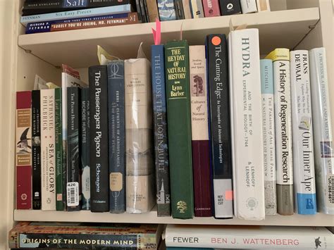 Ann B. Parson—The Birds of Dog: An Historical Novel Based on Mostly