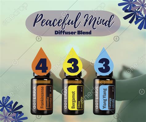 Deep Sleep Peaceful Mind Diffuser Blend By Christy St Clair