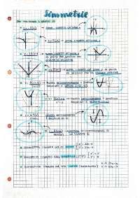 Grafici Delle Funzioni Simmetrie Schemi E Mappe Concettuali Di