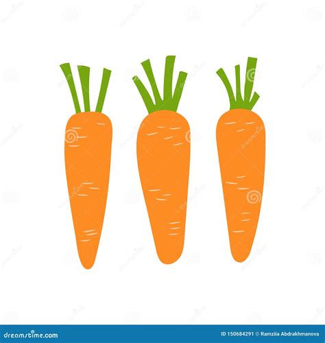 Carrot Sketch. Orange Vegetable. Hand Drawn Doodle Vector. Healthy Food. Vegetarian Product ...