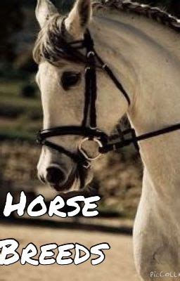 Horse Breeds - Budenny - Wattpad