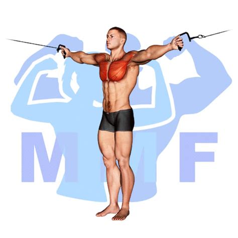 Cable Decline Fly A Better Fly For Working Your Lower Chest