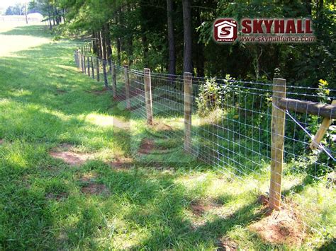 Farm Wire Fence Hebei Skyhall Metal Fence Coltd