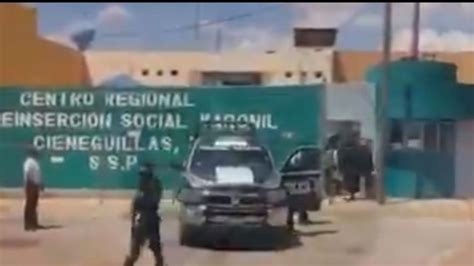 En Plena Fase 3 Se Fugan Por Túnel 11 Reos Del Penal De Cieneguillas Zacatecas El Heraldo De