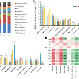 Boxplot Of Alpha Diversity In Bamboo Based Agroforestry System And Pure