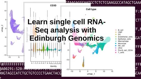 Scrna Seq Analysis Workshop Rna Seq Blog