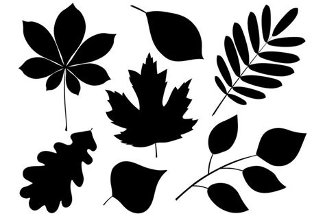 Set silhouettes of autumn leaves rowan maple oak chestnut chestnut black color vector ...