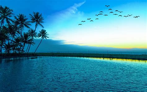 Wallpaper Sunlight Landscape Birds Sea Bay Lake Nature Shore