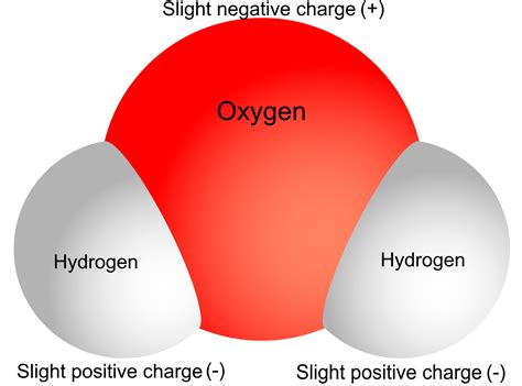 Properties Of Water Polarity