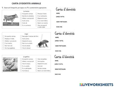 Carta d identità degli animali interactive worksheet