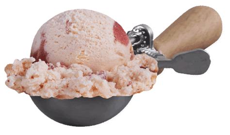 Blue Bell Vanilla Strawberry Ice Cream Hotsell Head Hesge Ch