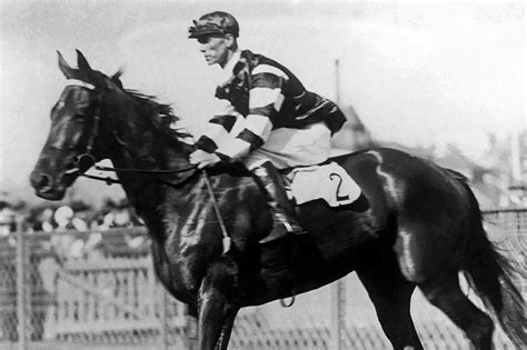 Los Mejores Caballos De La Historia Ociocaballo