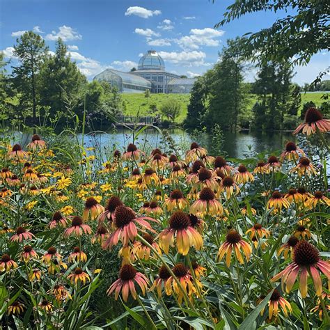 Lewis Ginter Botanical Garden has reopened : r/rva