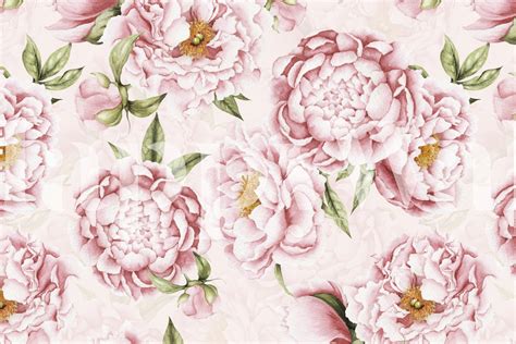 Blush Pink Peonies Wallpaper - Beautiful Floral Design | Happywall