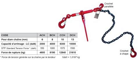 Ensemble D Arrimage Haute R Sistance Tendeur Cliquet Cha Ne Grade