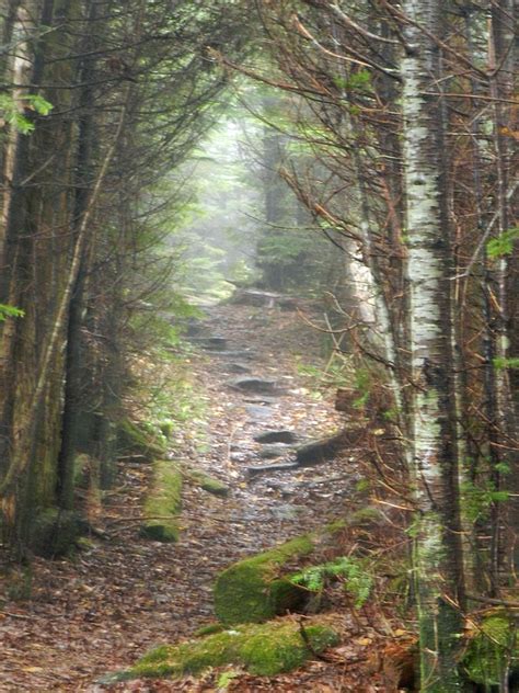 Blue Ridge Trail Photograph By Deborah Ferree Fine Art America