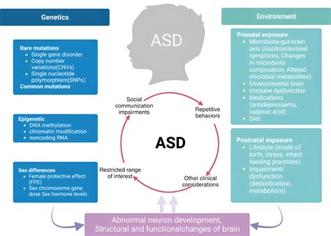 Autism Spectrum Disorder Pathogenesis Biomarker And Intervention