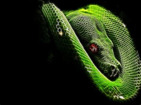 🔥 100 Snake Game Wallpapers Wallpapersafari