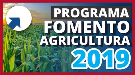 Programa de Fomento a la Agricultura 2019 Reglas de Operación YouTube