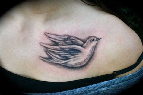 Dove Tattoos Designs, Ideas and Meaning | Tattoos For You