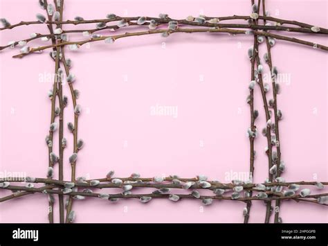 Frame Made Of Pussy Willow Branches On Pink Background Stock Photo Alamy