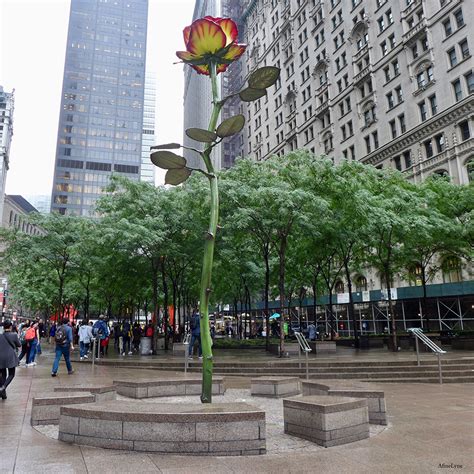 Zuccotti Park Celebrates 7th Anniversary of Occupy Wall Street with a ...