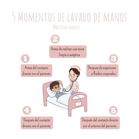 La Salud Del Lavado De Manos 5 Momentos Para Lavarse Las Mano Themelower