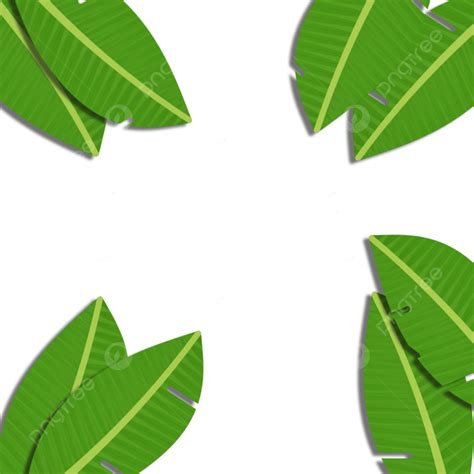 Borderliner Clipart Transparent PNG Hd Borderline Banana Leaf Edge