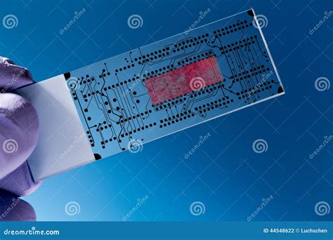 Lab On Chip Loc Stock Photo Image Of Micropillar Diagnostics