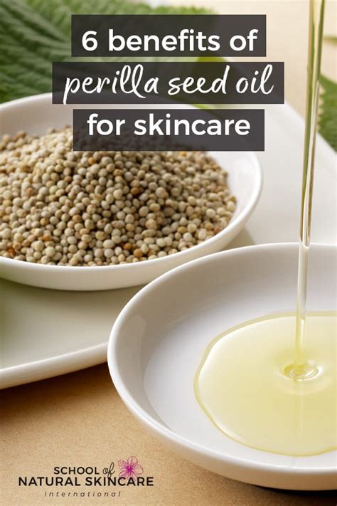 6 Benefits Of Perilla Seed Oil For Skin School Of Natural Skincare