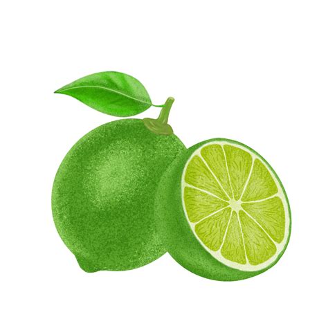 Green Lemon Illustration Color Painting 16779261 Png