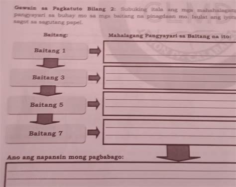 Subuking Itala Ang Mga Mahalagang Pangyayari Sa Buhay Mo Sa Mga Baitang