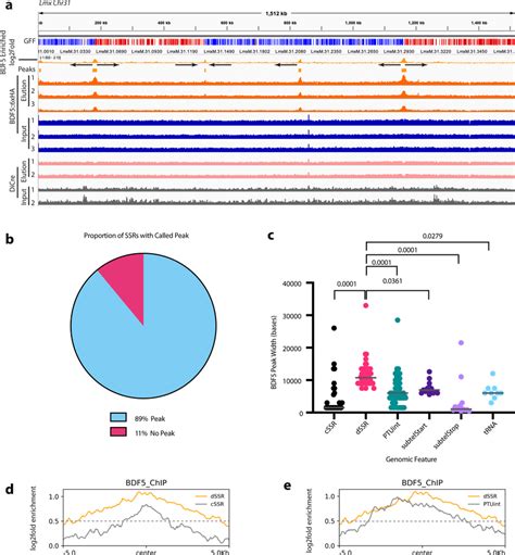 Chip Seq Analysis Of Bdf5 Distribution On Chromatin A Igv Genome