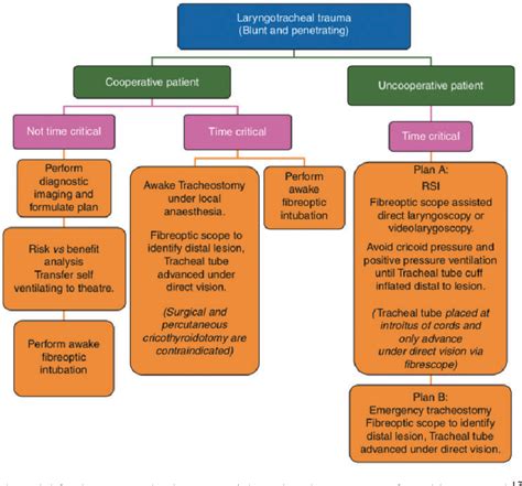 Figure 1 From The Anaesthetic Management Of The Airway After Blunt And Penetrating Neck Injury