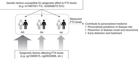 Twin Study Genotype Dependent Epigenetic Factors Affecting Free