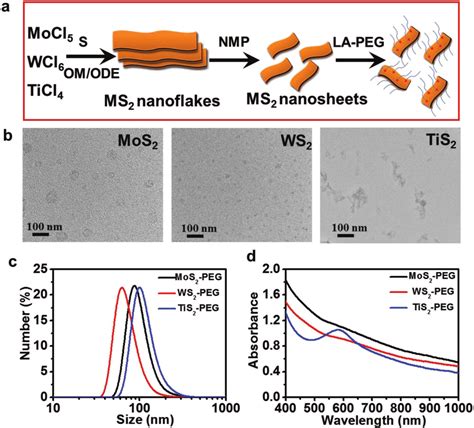 Synthesis And Characterization Of Pegylated Ms M Mo W Ti