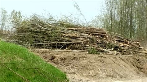 Ex Discarica Di Via Orsenigo Gli Ambientalisti Chiedono Lo Stop Al