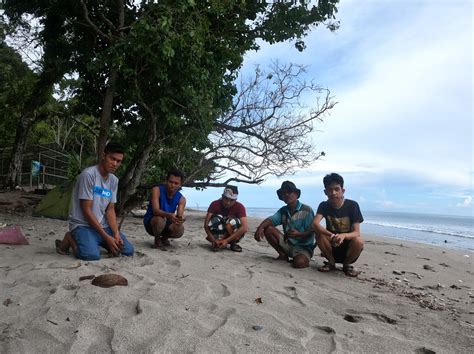 Finding Maleo In Tanjung Matop Wild Sanctuary