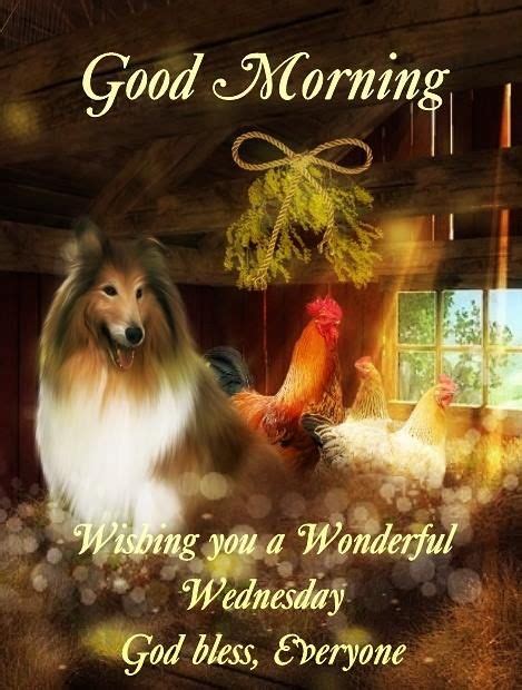 Dog And Rooster Wonderful Wednesday Pictures Photos And Images For